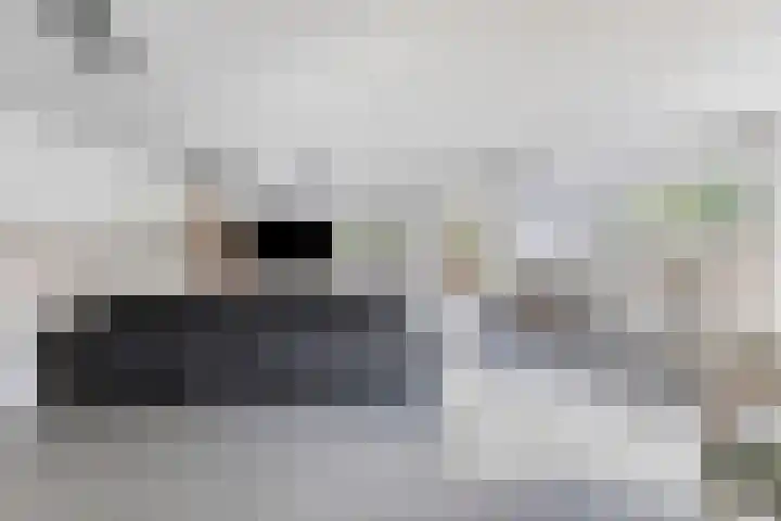 Heiweg 3 Herpen thumbnail 30