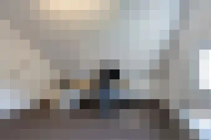 Heiweg 3 Herpen thumbnail 34