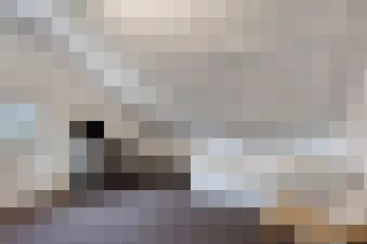 Heiweg 3 Herpen thumbnail 35