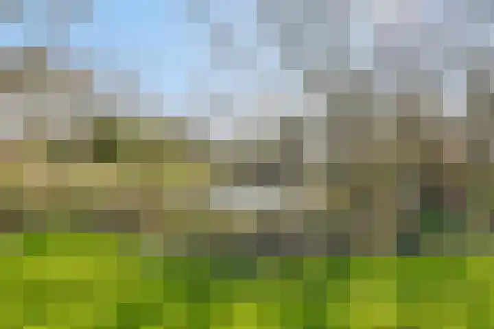 Heiweg 3 Herpen thumbnail 4