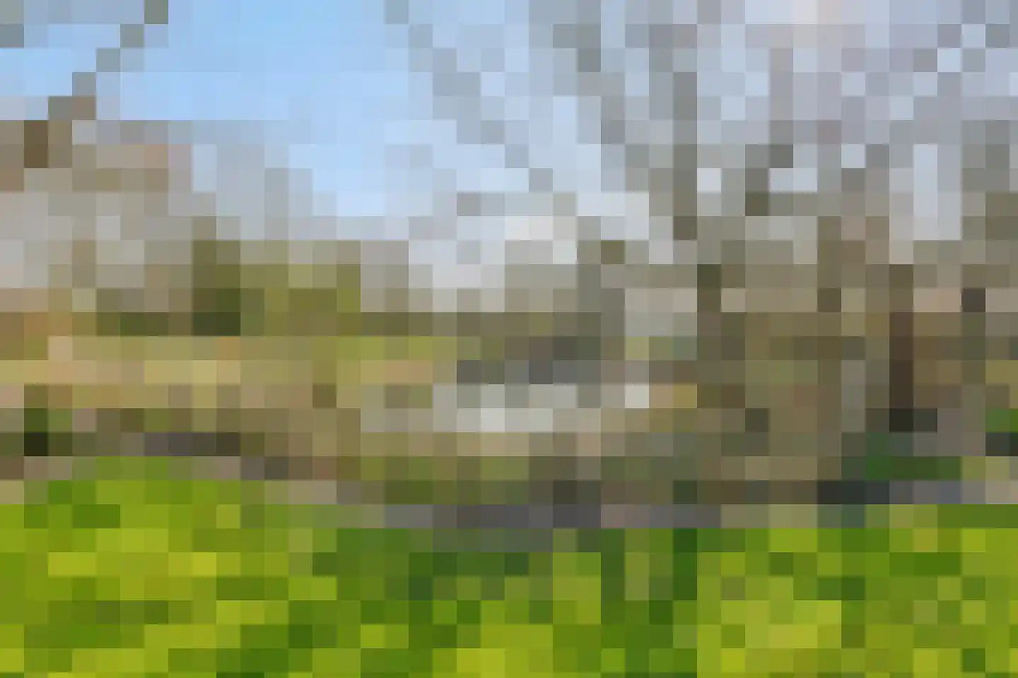 Heiweg 3 Herpen thumbnail 4