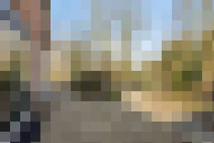 Heiweg 3 Herpen thumbnail 41