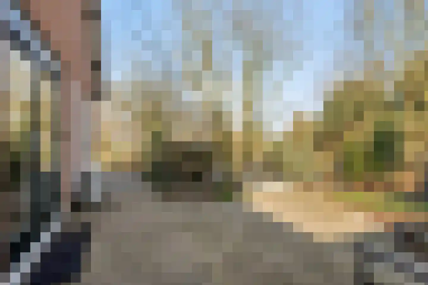 Heiweg 3 Herpen thumbnail 41