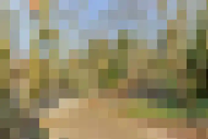 Heiweg 3 Herpen thumbnail 42