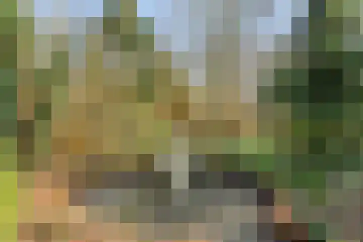 Heiweg 3 Herpen thumbnail 43