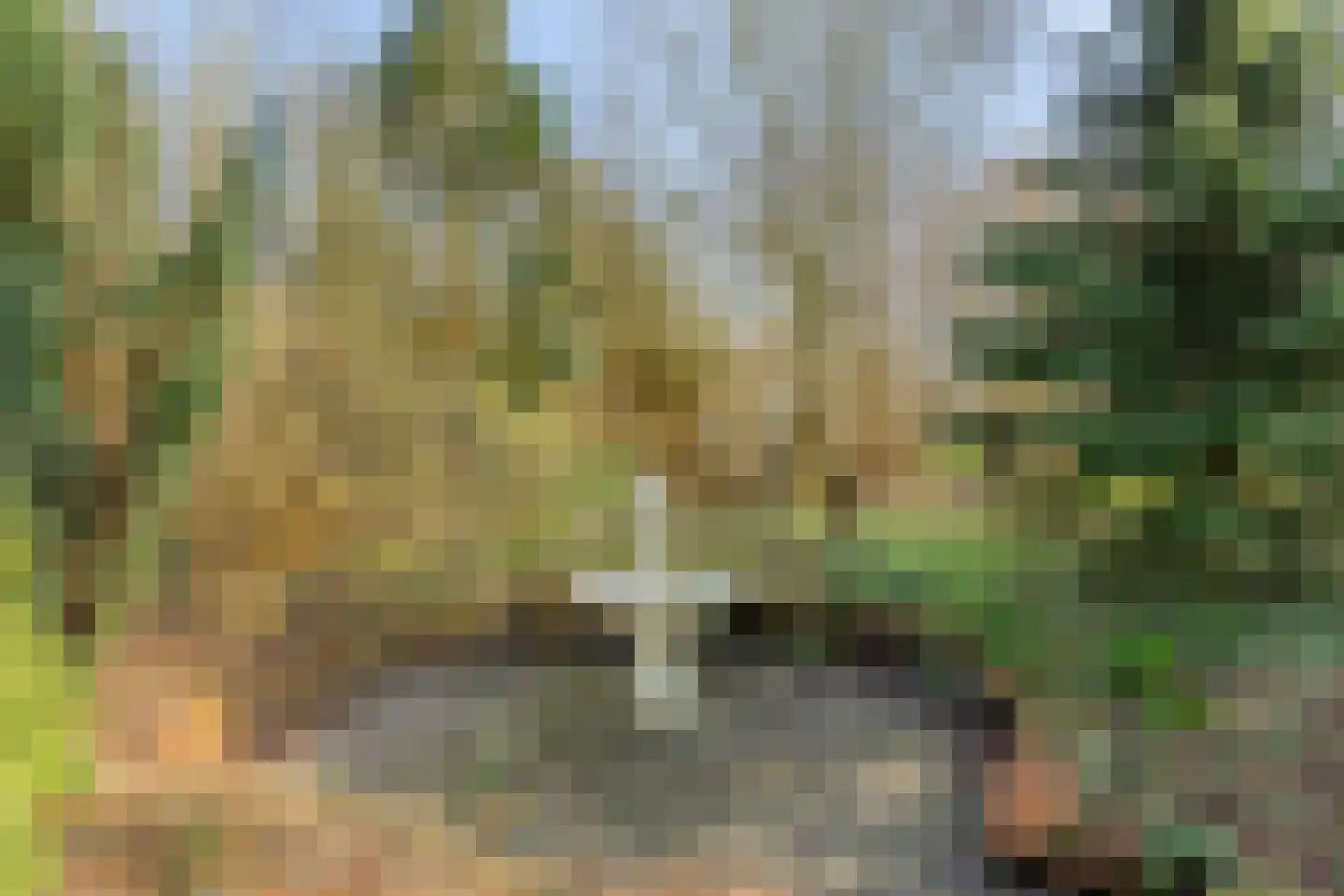 Heiweg 3 Herpen thumbnail 43