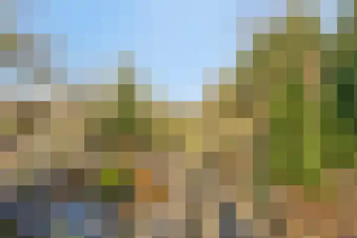 Heiweg 3 Herpen thumbnail 44