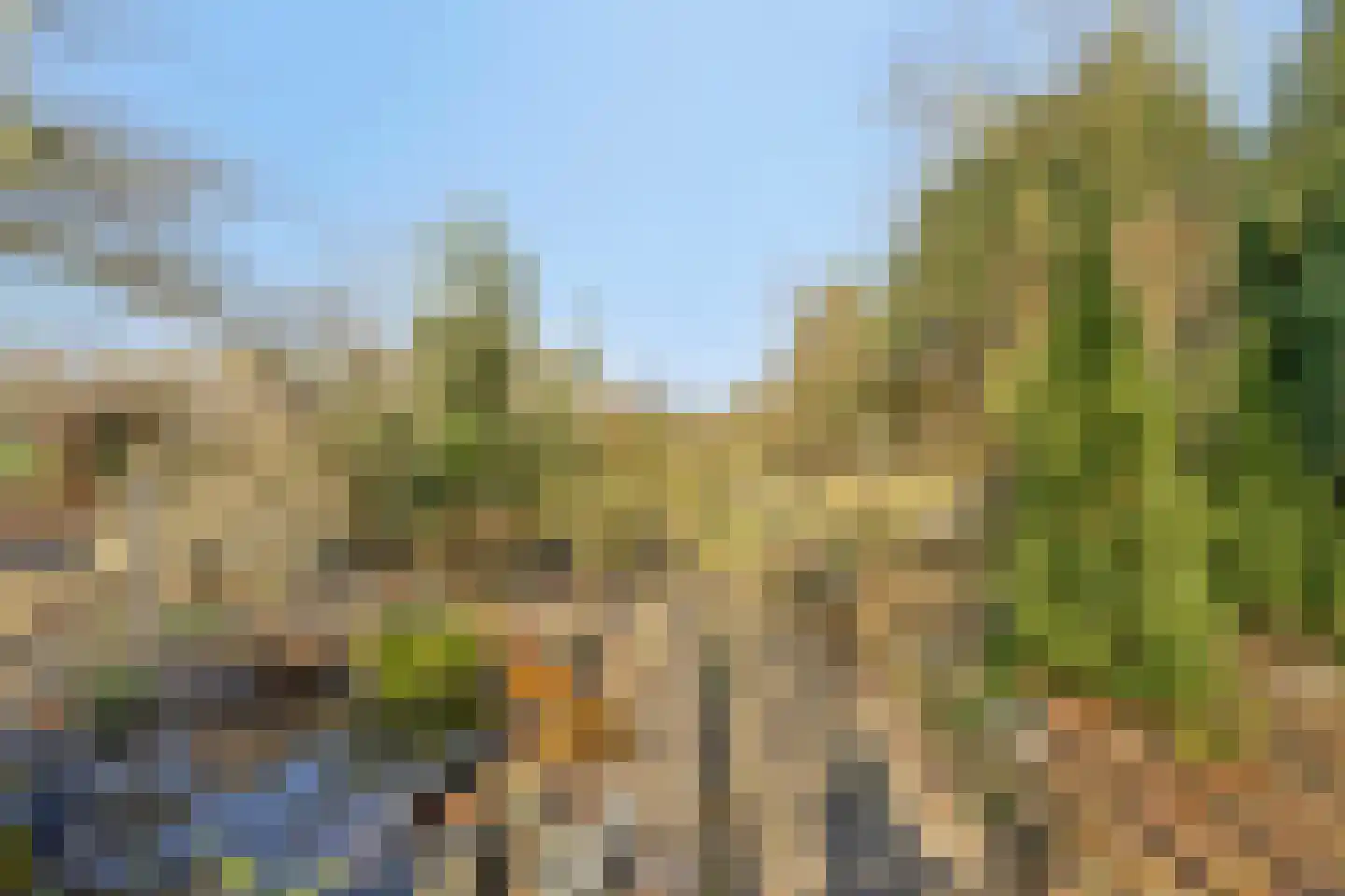 Heiweg 3 Herpen thumbnail 44