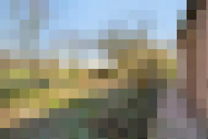 Heiweg 3 Herpen thumbnail 45