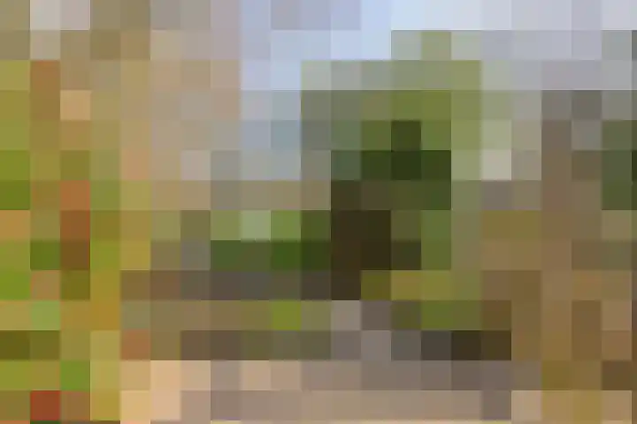 Heiweg 3 Herpen thumbnail 46