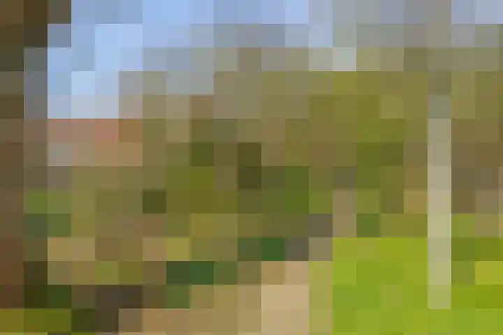 Heiweg 3 Herpen thumbnail 47