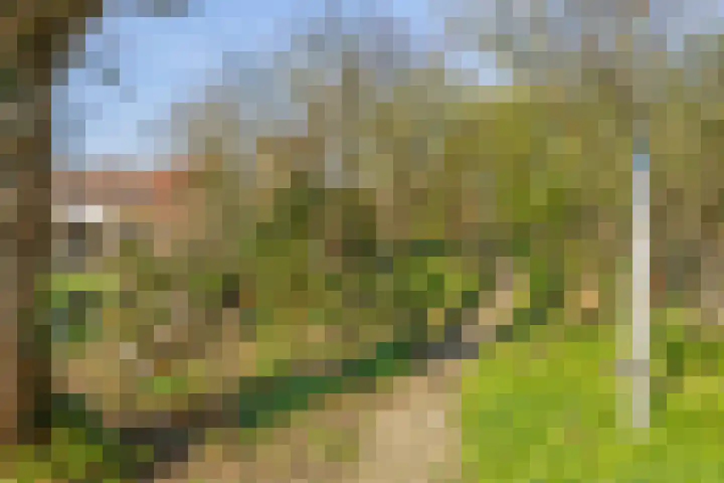 Heiweg 3 Herpen thumbnail 47