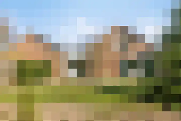 Heiweg 3 Herpen thumbnail 48
