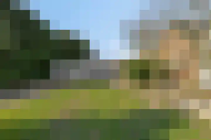 Heiweg 3 Herpen thumbnail 49