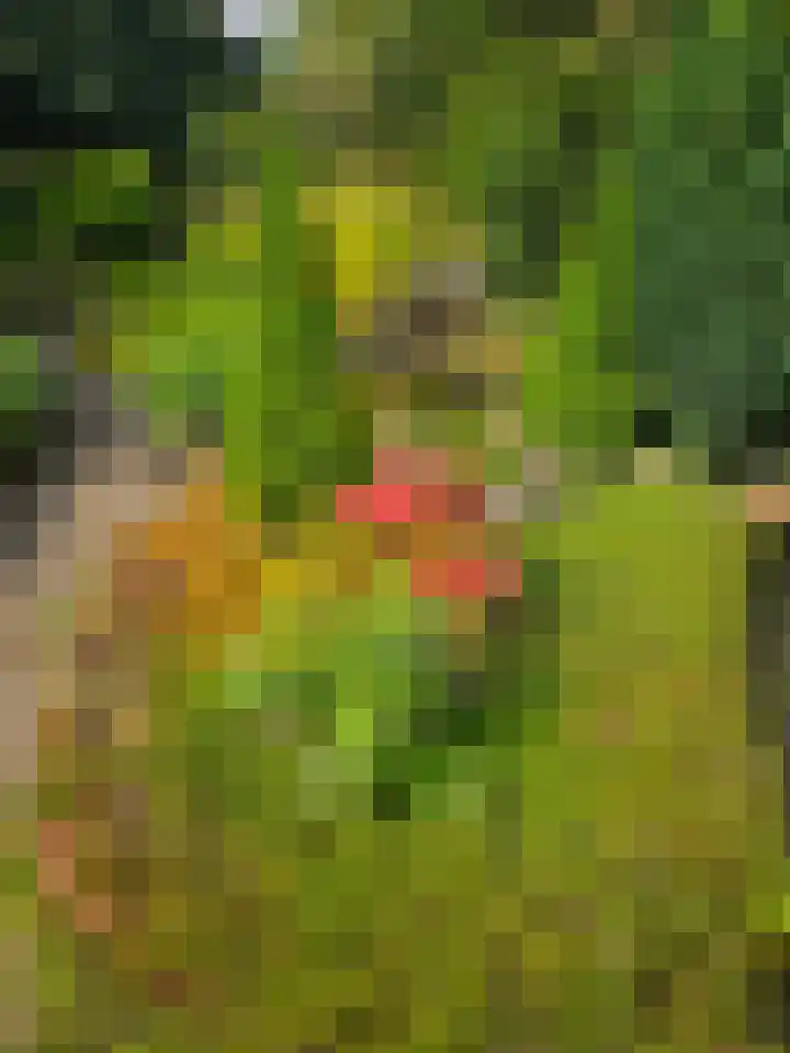 Heiweg 3 Herpen thumbnail 51