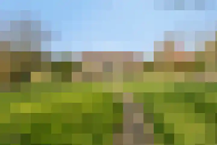 Heiweg 3 Herpen thumbnail 53