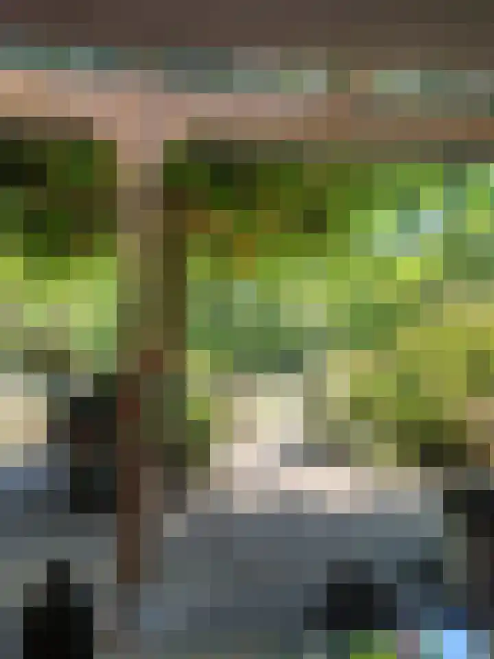Heiweg 3 Herpen thumbnail 55