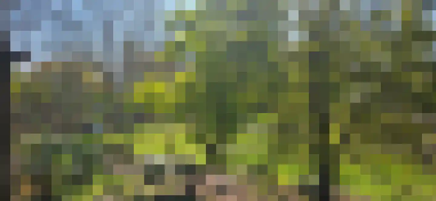Heiweg 3 Herpen thumbnail 56