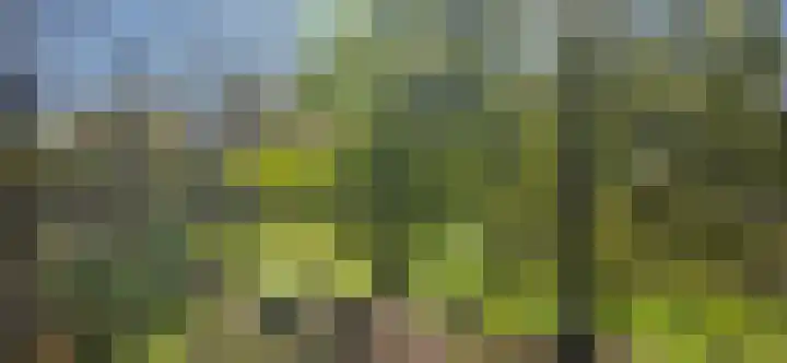 Heiweg 3 Herpen thumbnail 56