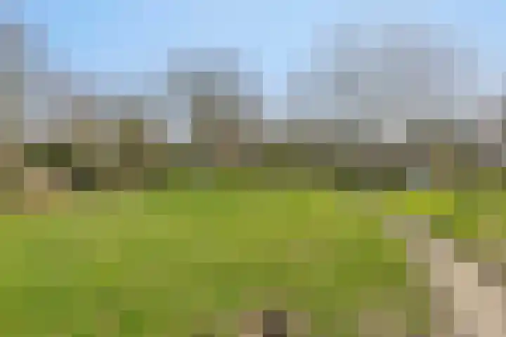 Heiweg 3 Herpen thumbnail 57
