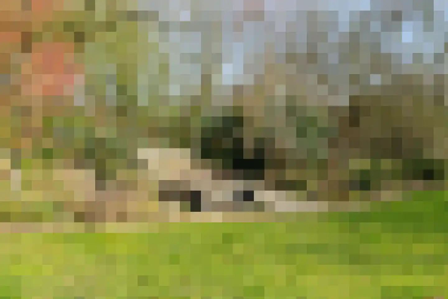 Heiweg 3 Herpen thumbnail 58