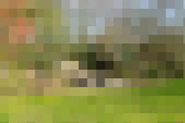 Heiweg 3 Herpen thumbnail 58