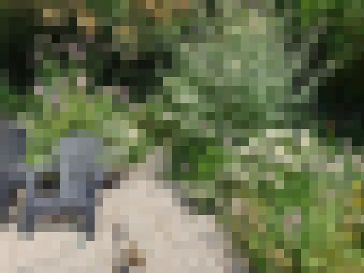 Heiweg 3 Herpen thumbnail 59
