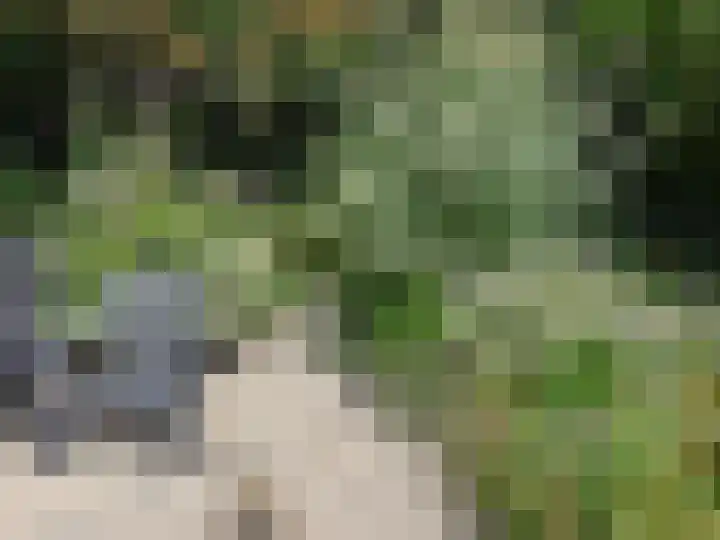 Heiweg 3 Herpen thumbnail 59