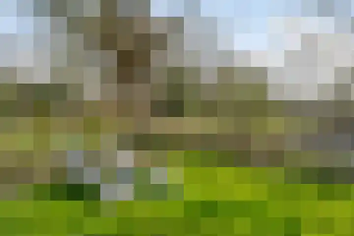 Heiweg 3 Herpen thumbnail 60