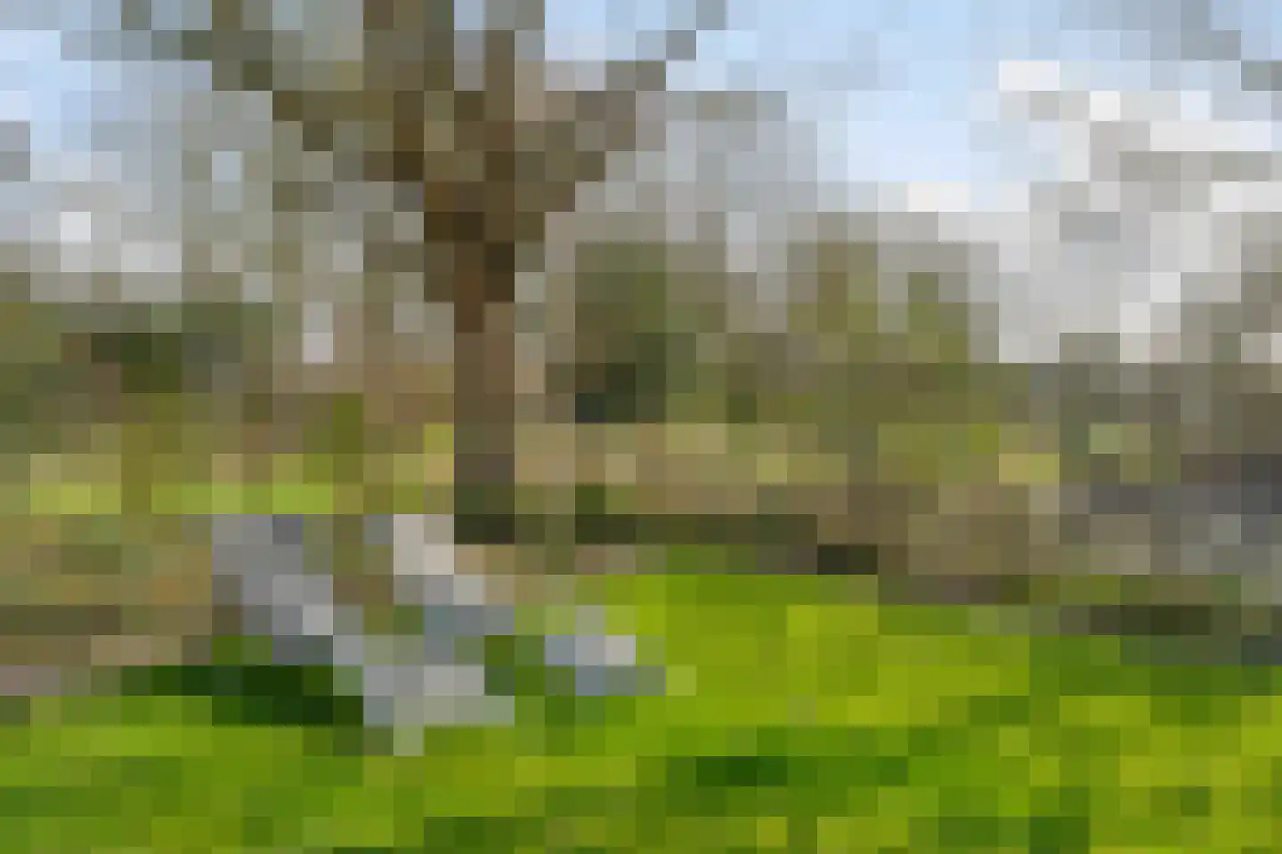 Heiweg 3 Herpen thumbnail 60