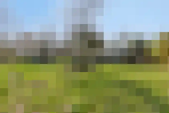 Heiweg 3 Herpen thumbnail 62