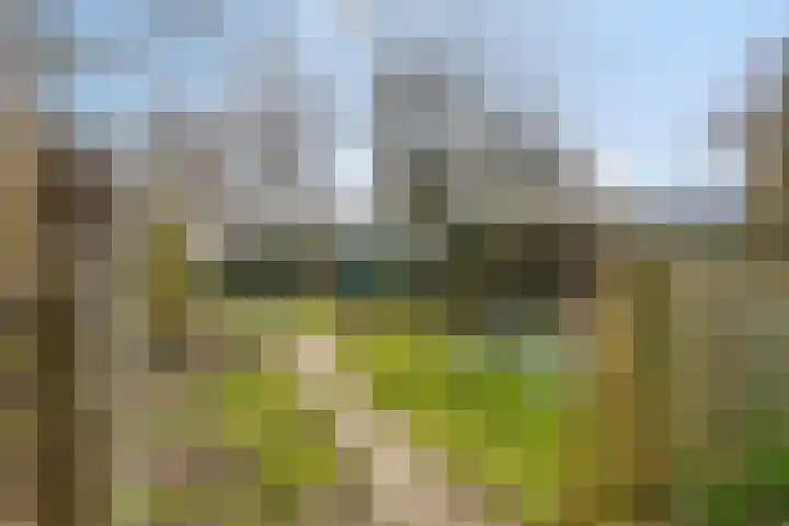 Heiweg 3 Herpen thumbnail 64