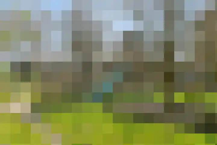 Heiweg 3 Herpen thumbnail 65
