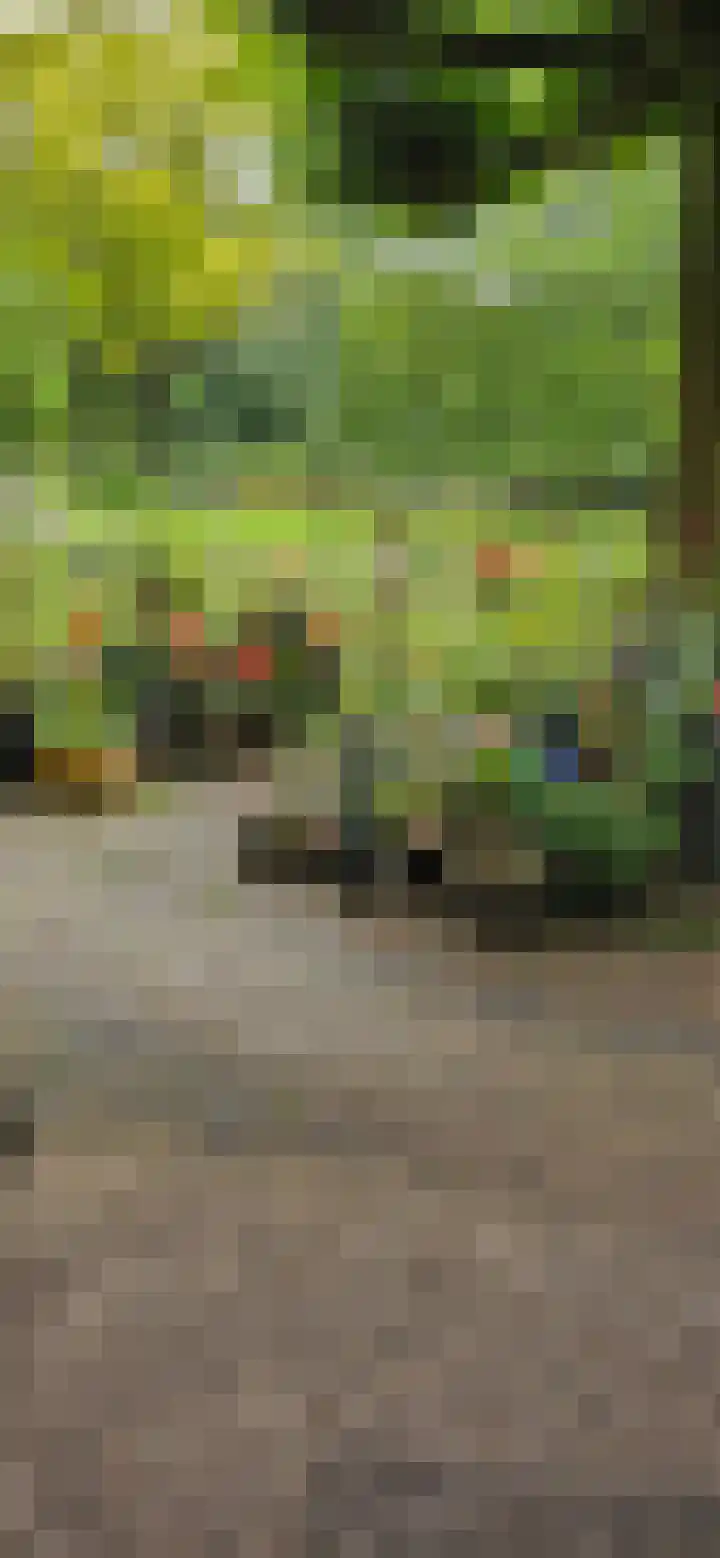 Heiweg 3 Herpen thumbnail 66