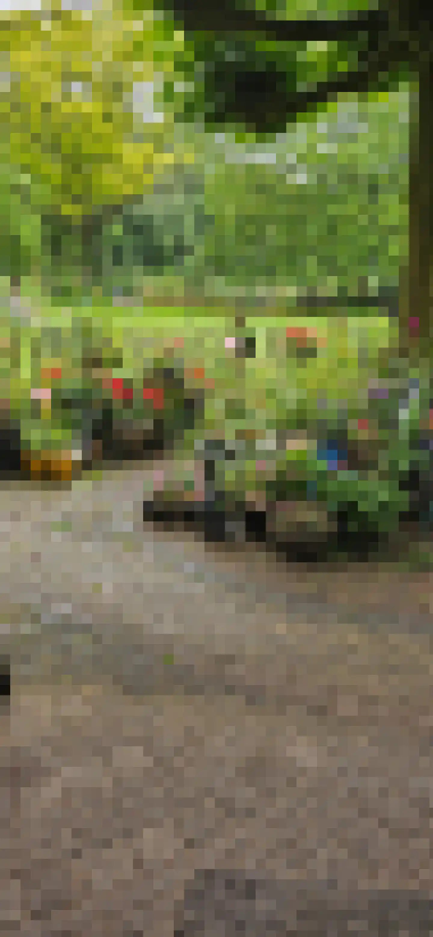Heiweg 3 Herpen thumbnail 66