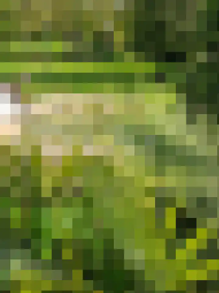 Heiweg 3 Herpen thumbnail 68