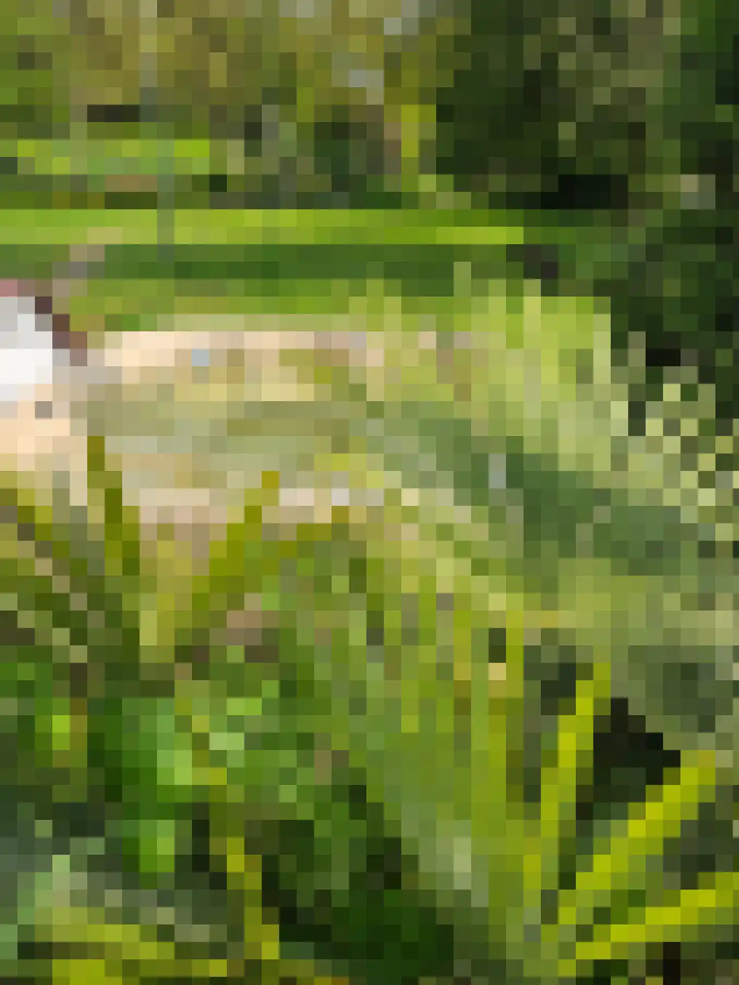 Heiweg 3 Herpen thumbnail 68