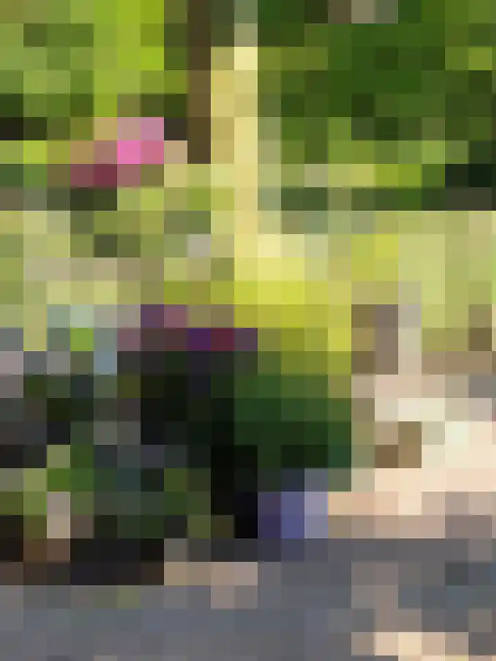 Heiweg 3 Herpen thumbnail 70
