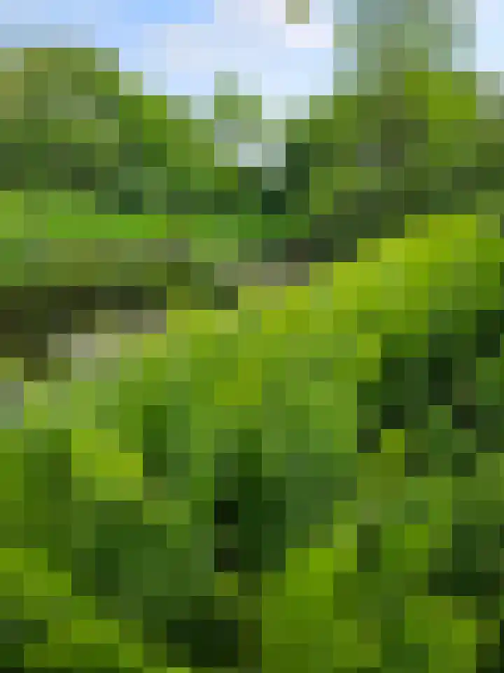 Heiweg 3 Herpen thumbnail 71