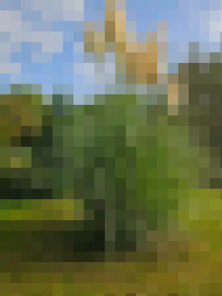 Heiweg 3 Herpen thumbnail 72