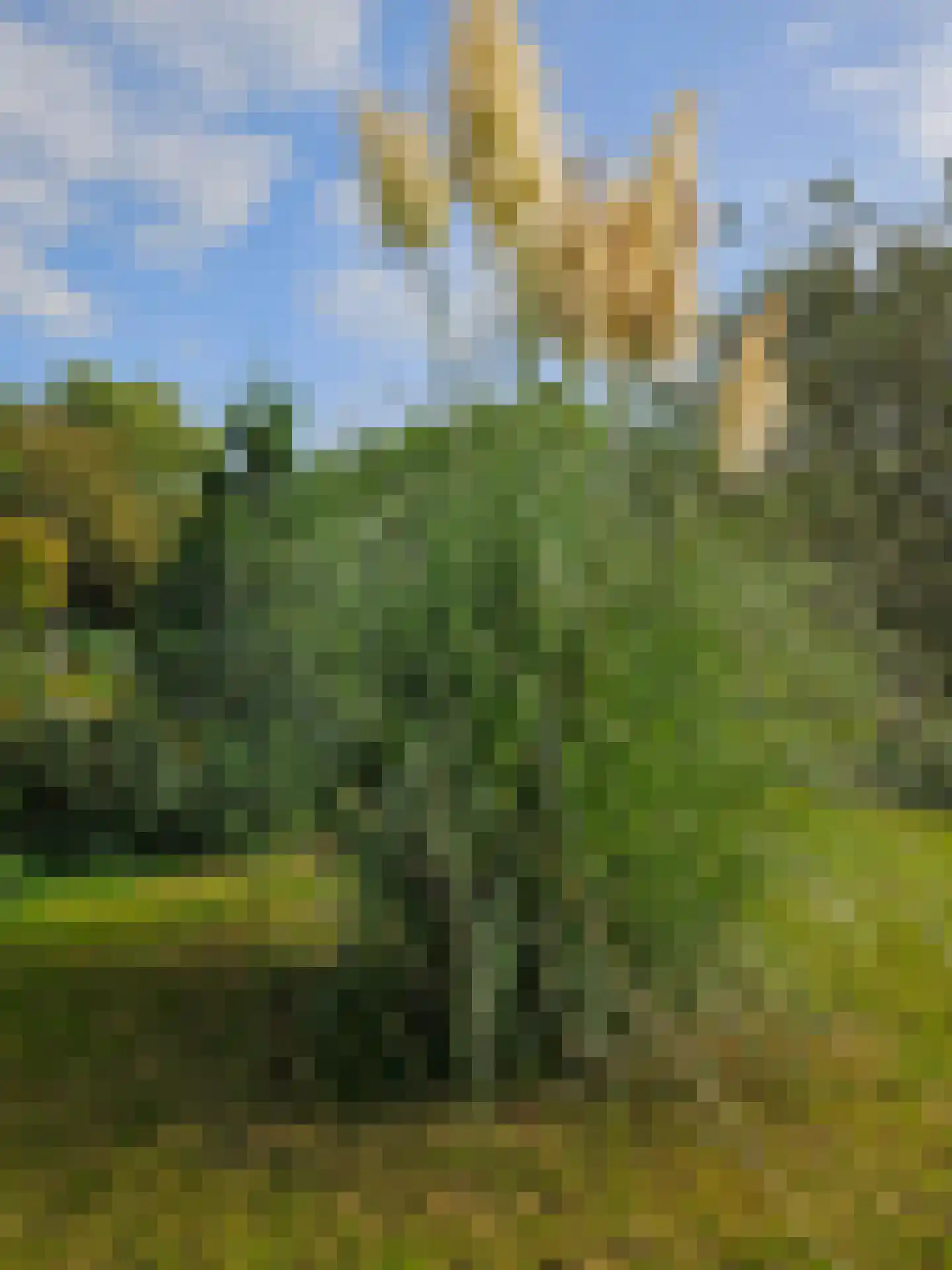 Heiweg 3 Herpen thumbnail 72
