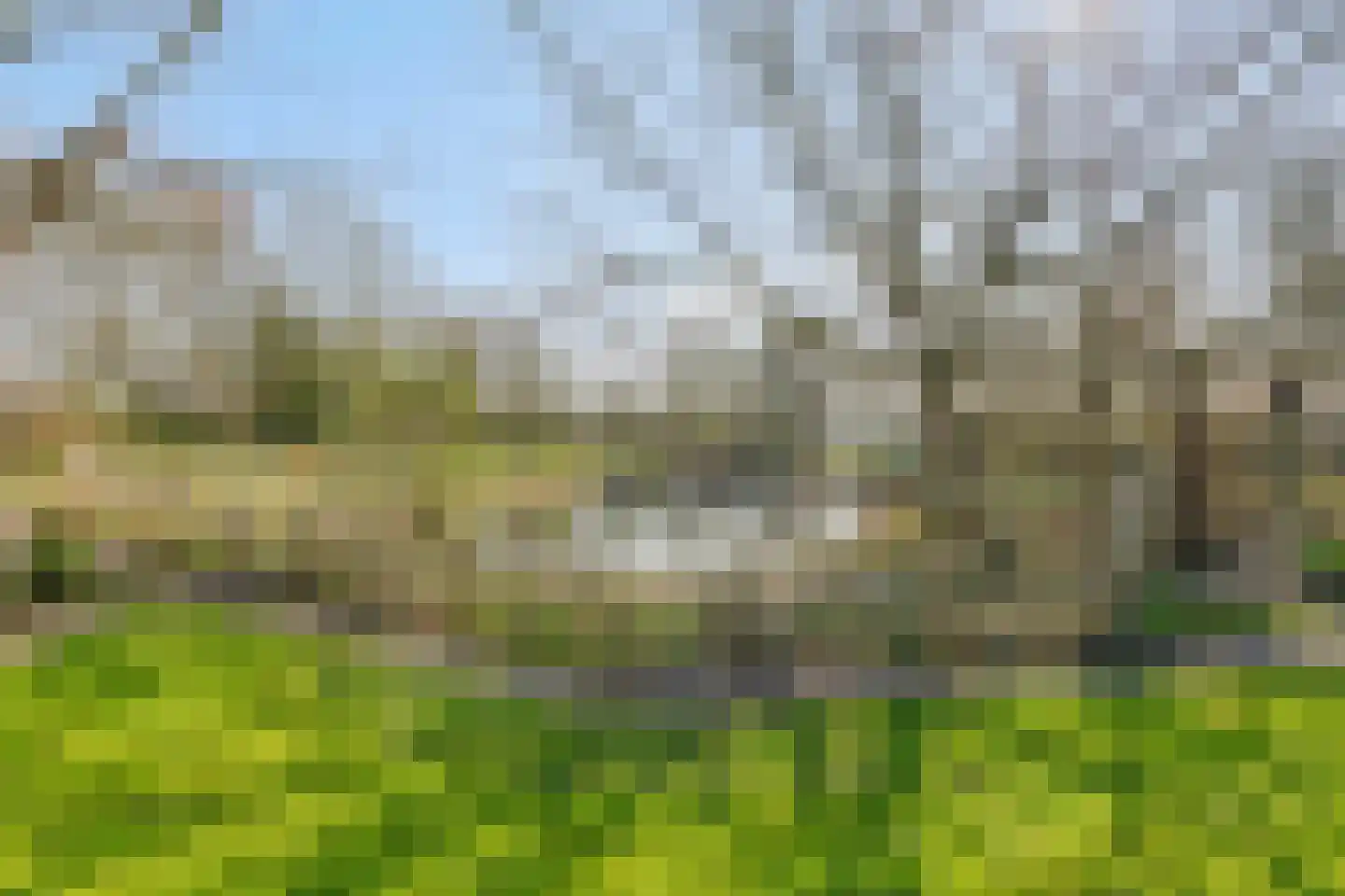 Heiweg 3 Herpen thumbnail 73