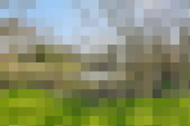 Heiweg 3 Herpen thumbnail 73