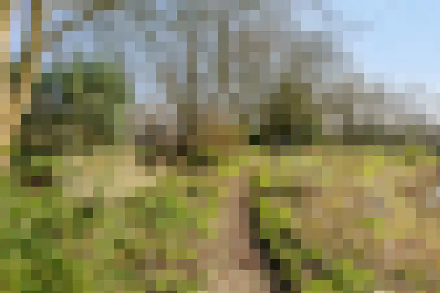 Heiweg 3 Herpen thumbnail 75