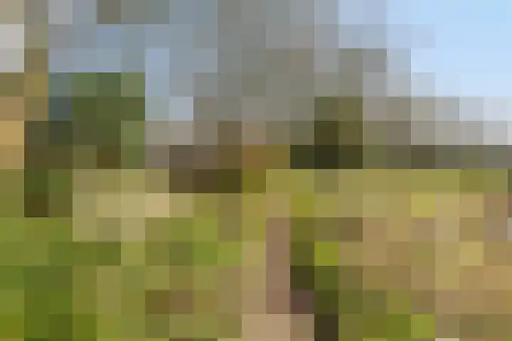 Heiweg 3 Herpen thumbnail 75