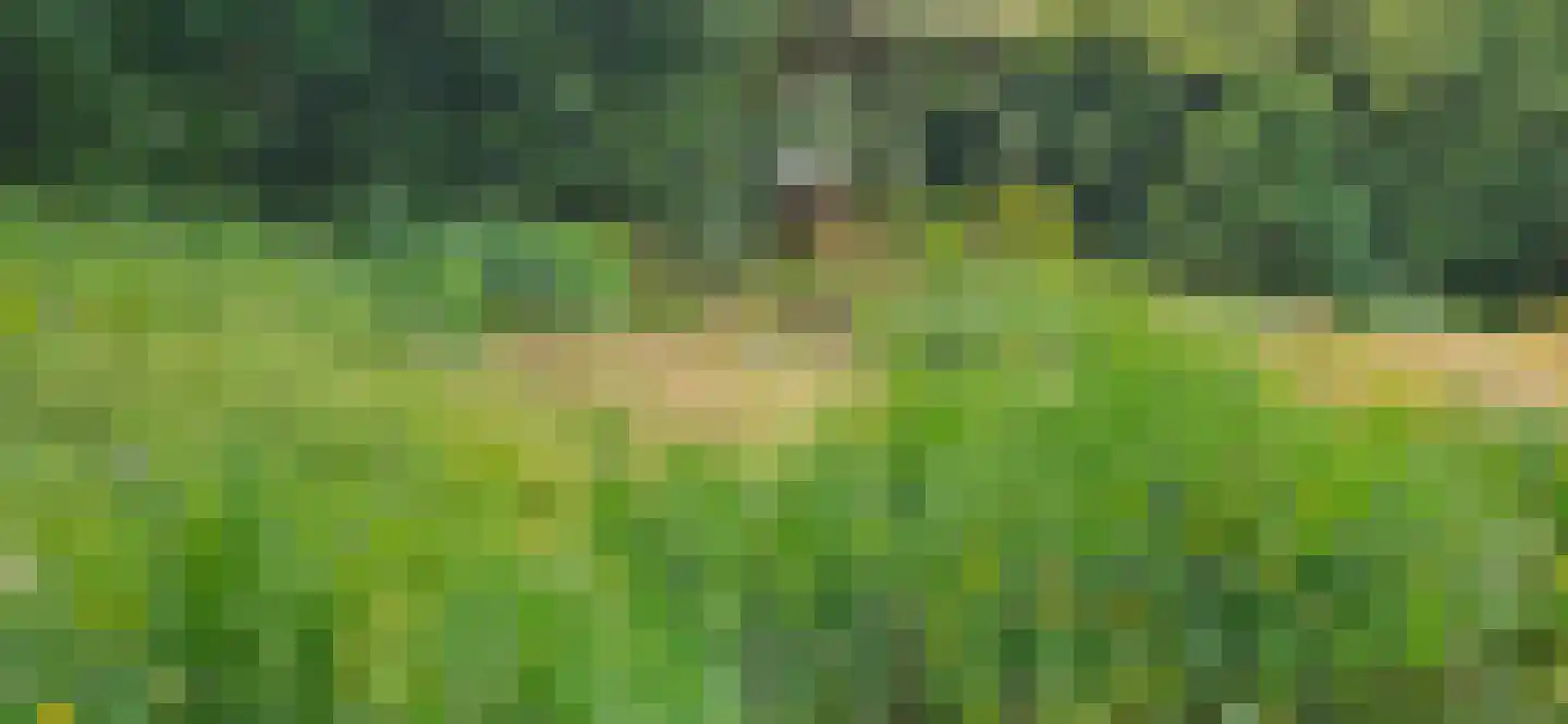 Heiweg 3 Herpen thumbnail 76