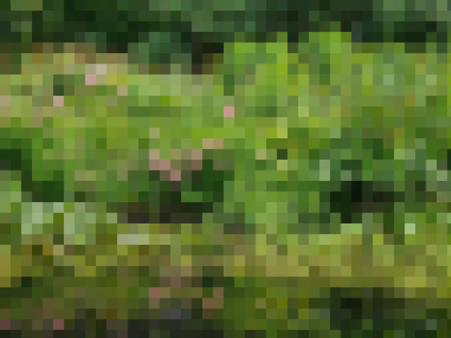 Heiweg 3 Herpen thumbnail 77