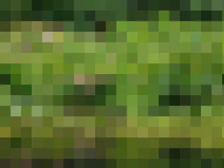 Heiweg 3 Herpen thumbnail 77