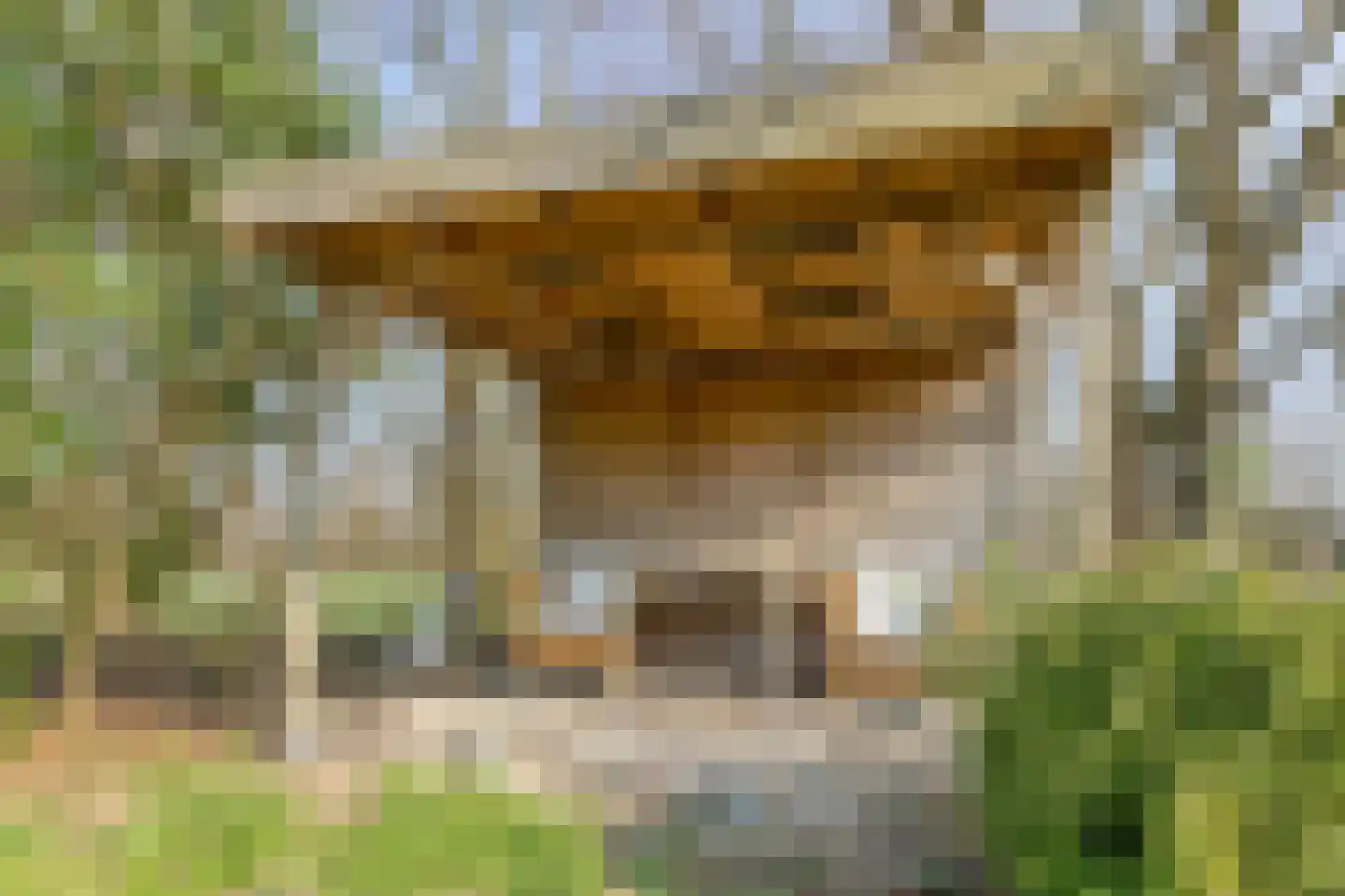Heiweg 3 Herpen thumbnail 78