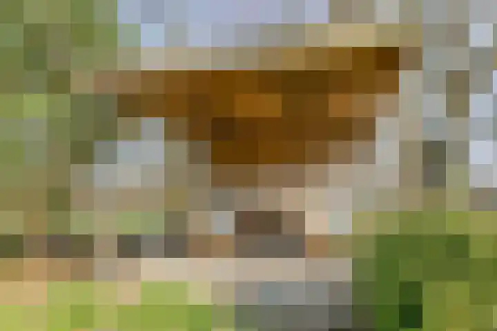 Heiweg 3 Herpen thumbnail 78